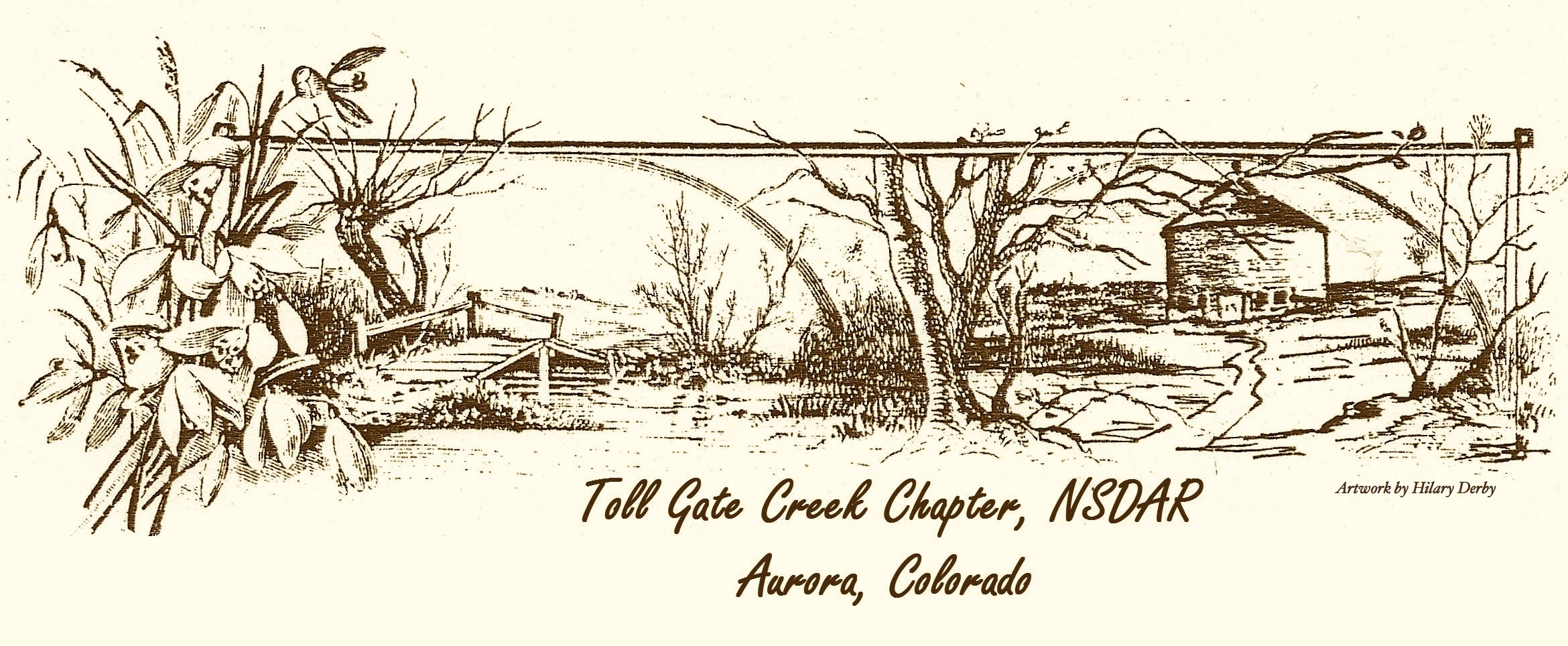 Toll Gate Creek Chapter, NSDAR